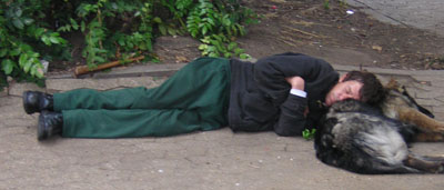 man and dog