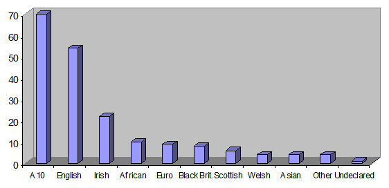 Ethnic origin November 2008
